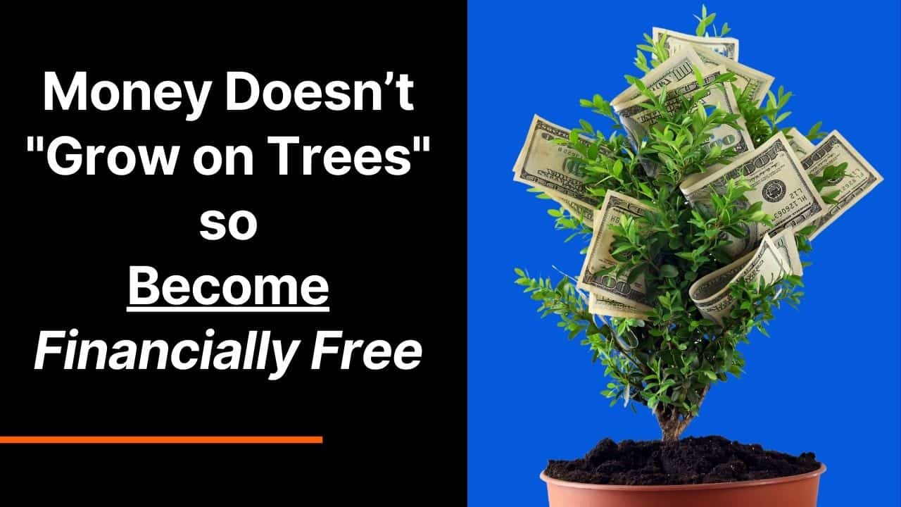 Money Doesn’t Grow on Trees so Become Financially Free