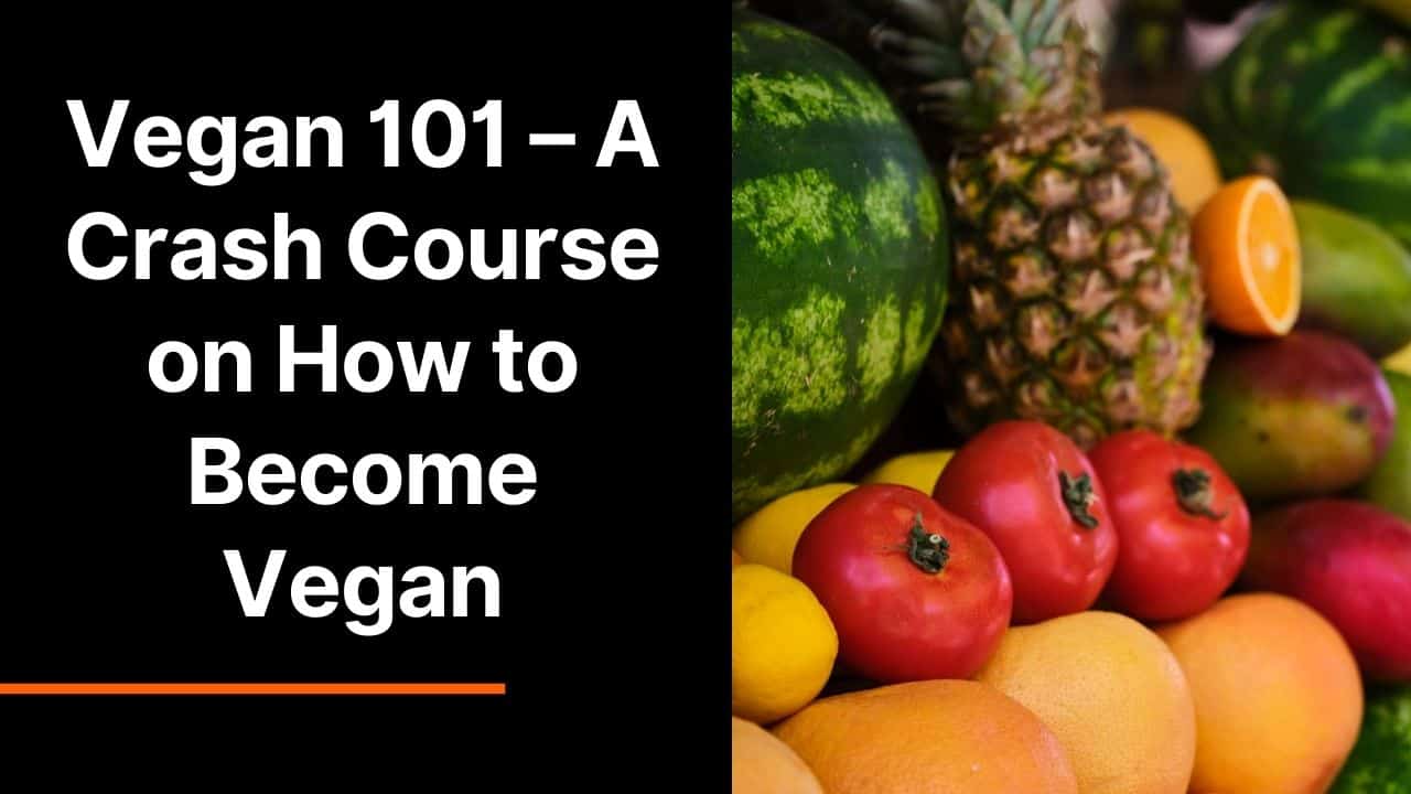 Vegan 101 – A Crash Course on How to Become Vegan