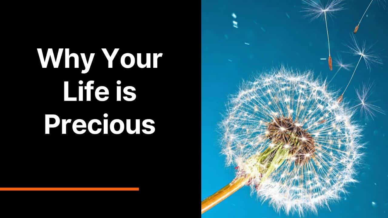 Why Your Life is Precious
